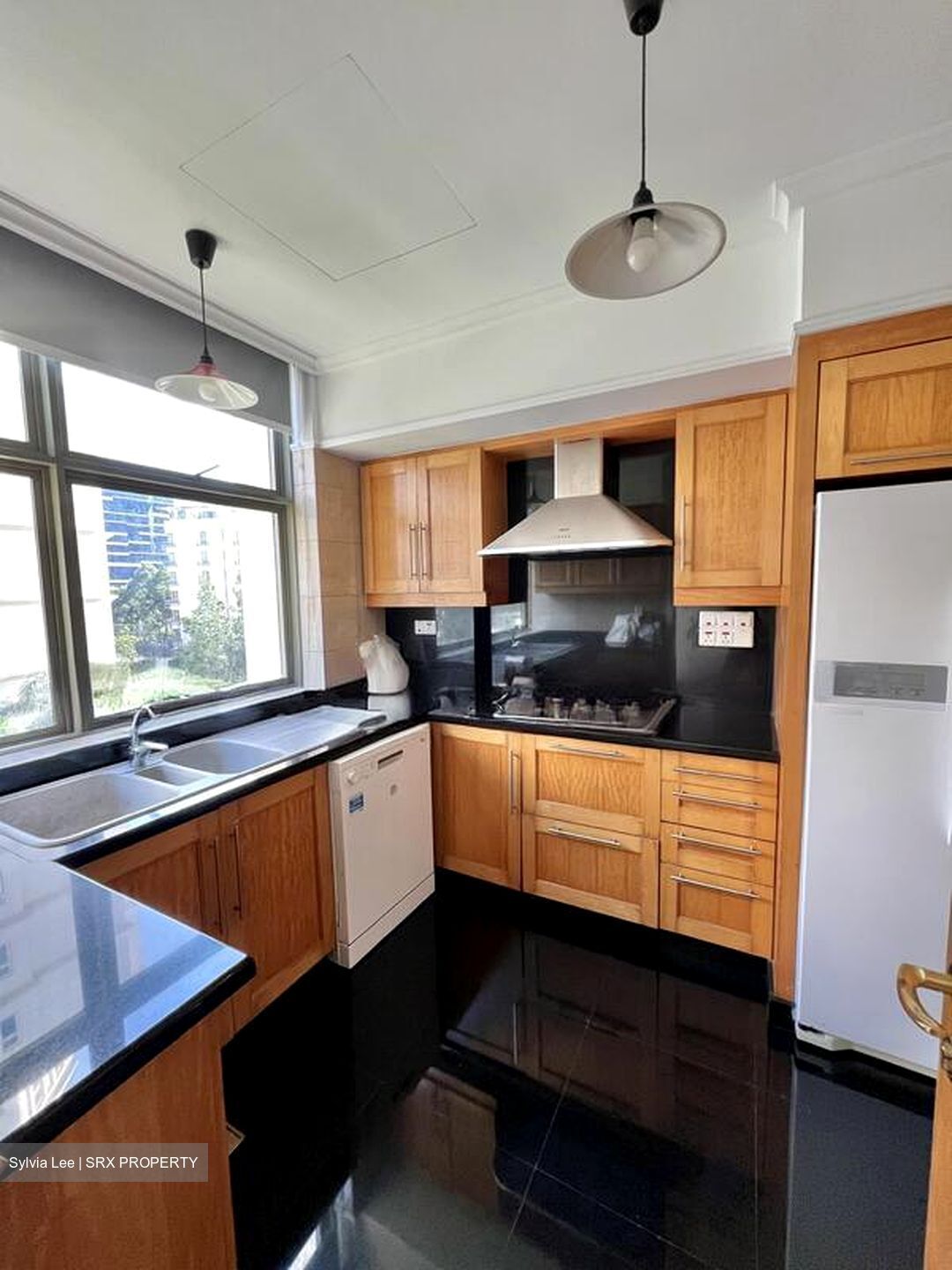 Gardenville (D10), Condominium #503415451